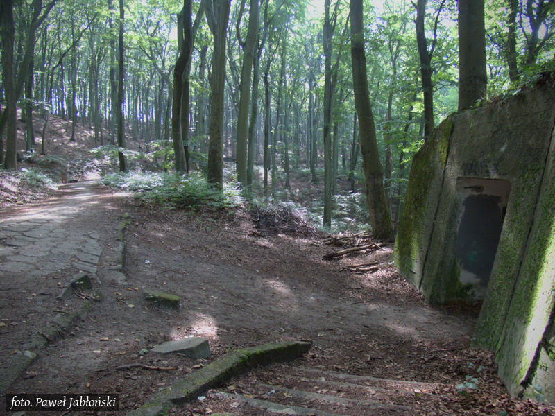 Bunkry na klifowych wzgórzach